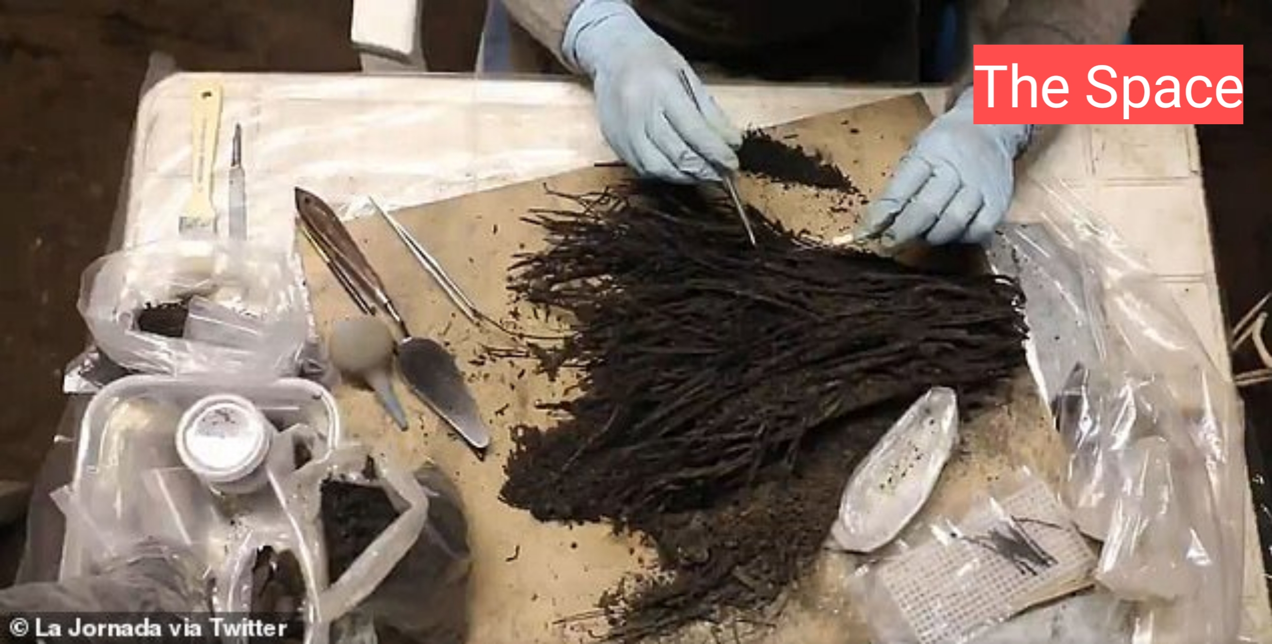 FEATURING STORY: Bouquets of flowers left as offerings to the gods 1800 years ago are discovered in tunnels under Teotihuacan pyramid