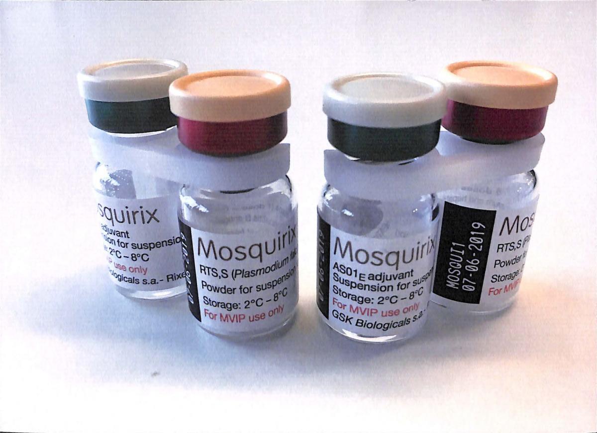 Mosquirix : first malaria vaccine that has completed the clinical development