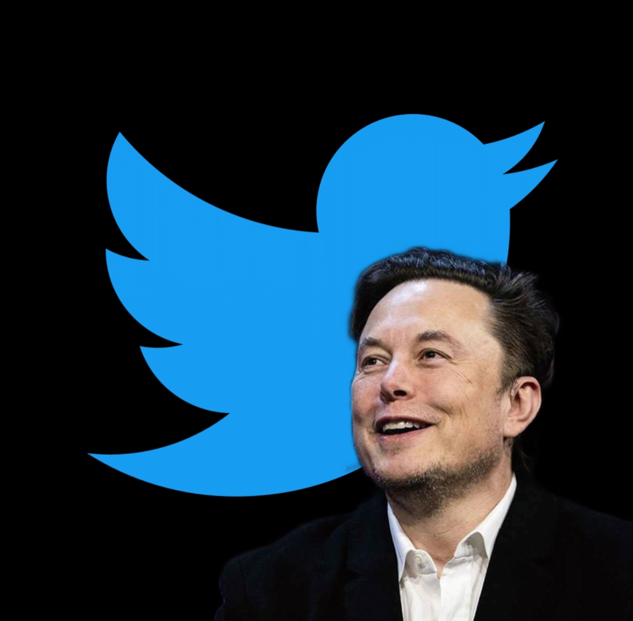 Elon Musk is the new owner of the popular microblogging site, Twitter.