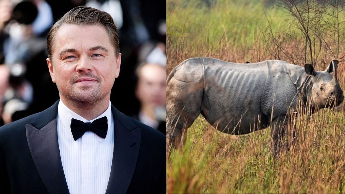 Hollywood actor Leonardo DiCaprio praises Assam Government’s effort to end the poaching of one horned Rhinoceros.