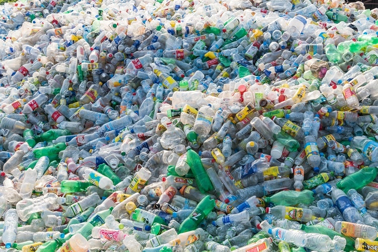 Plastic eating microbes found in the Arctic could offer solution for the earth's waste management problem.