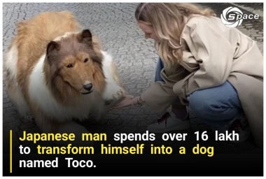 Japanese man spends over 16 lakh to transform himself into a dog named Toco.